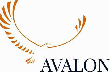 Avalon Investment Services Ltd Avalon Investment Services Ltd
