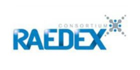 Raedex Consortium Ltd Raedex logo