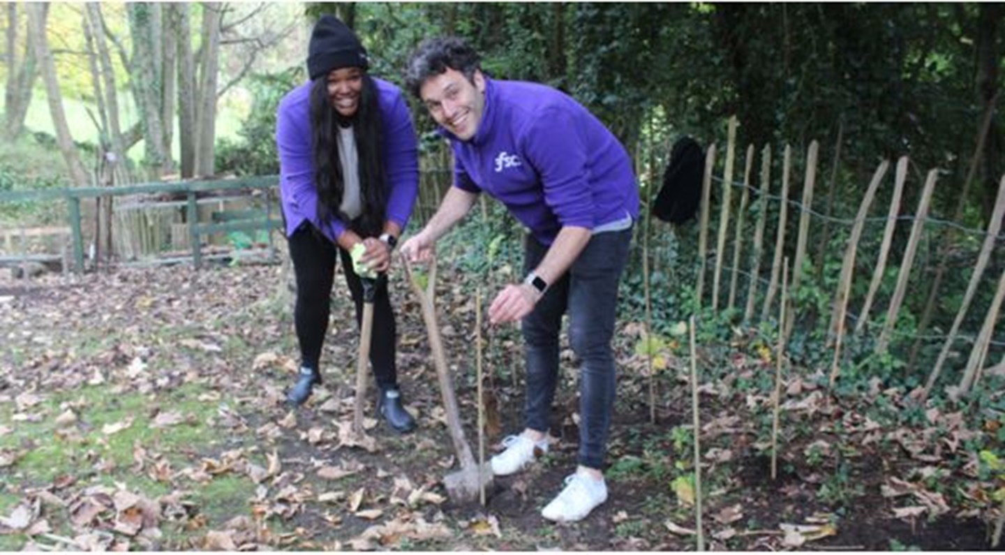FSCS staff planting trees