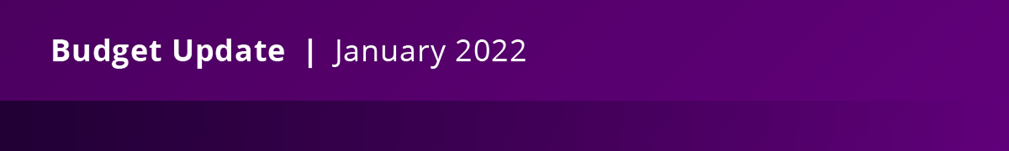 Budget update banner