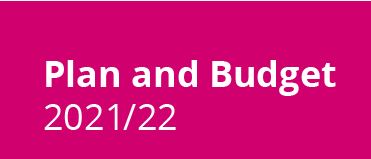 Plan and Budget report Plan and Budget report 21/22