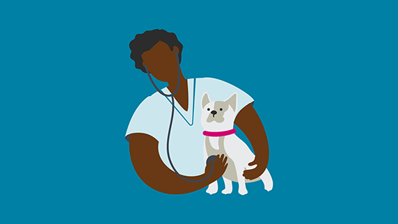 Vet examining a small dog